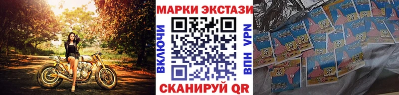 дарнет шоп  Жердевка  Наркотические марки 1,5мг 