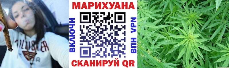 Каннабис OG Kush  Жердевка 